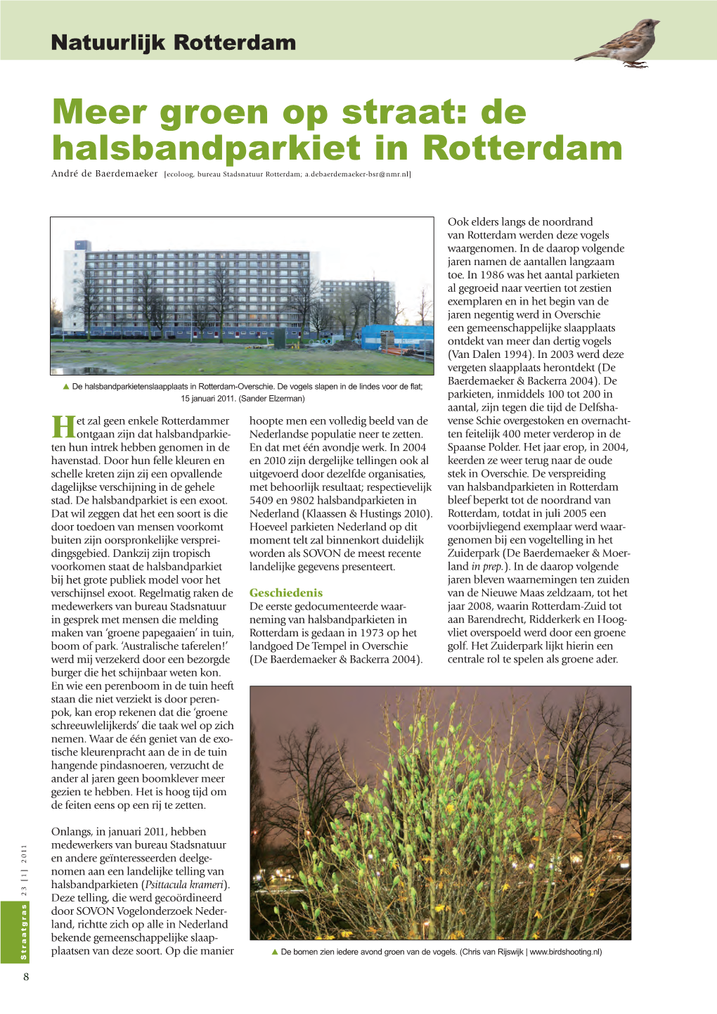 Meer Groen Op Straat: De Halsbandparkiet in Rotterdam André De Baerdemaeker [Ecoloog, Bureau Stadsnatuur Rotterdam; A.Debaerdemaeker-Bsr@Nmr.Nl]