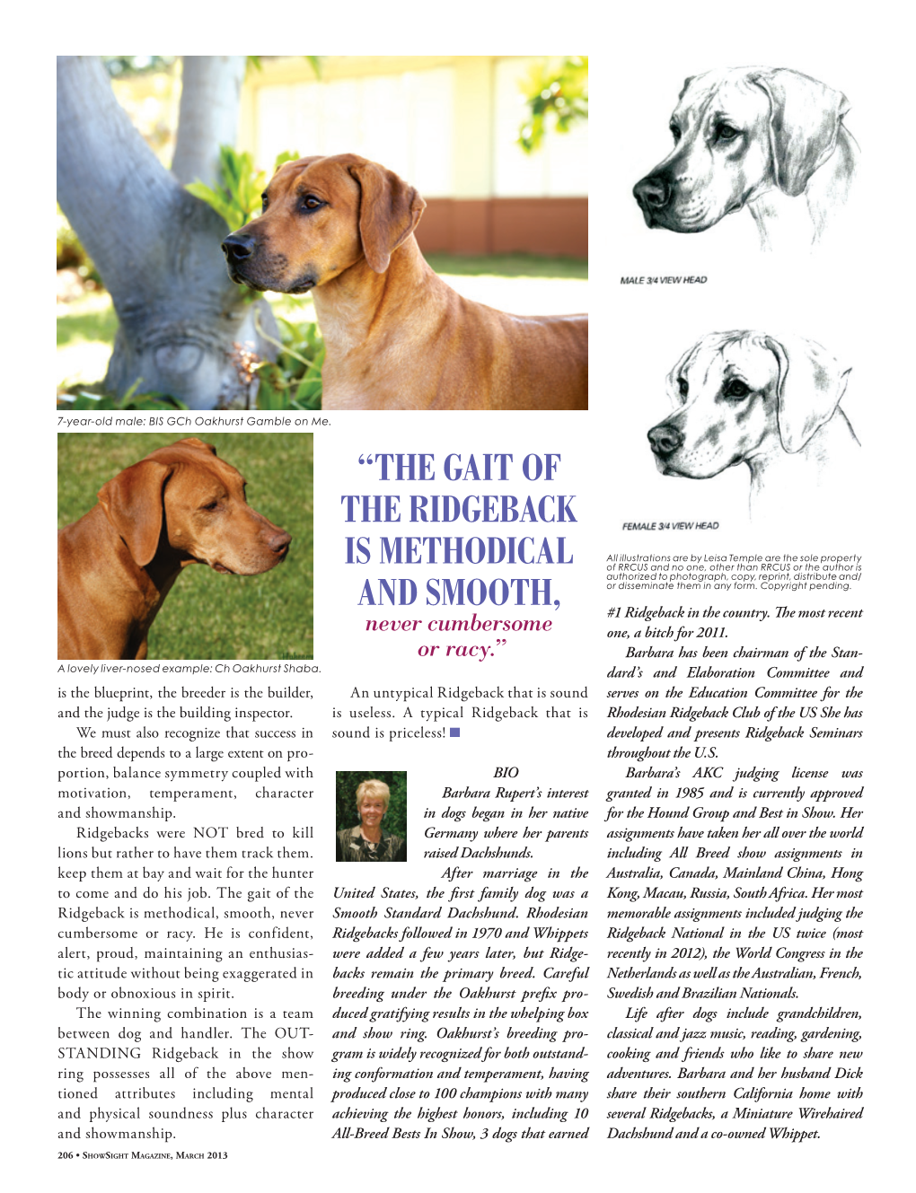 “THE GAIT of the RIDGEBACK IS Methodical and SMOOTH