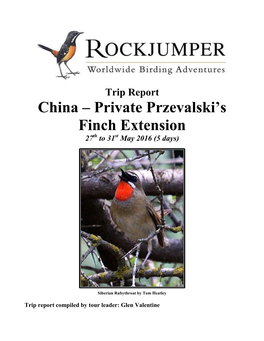 China – Private Przevalski's Finch Extension