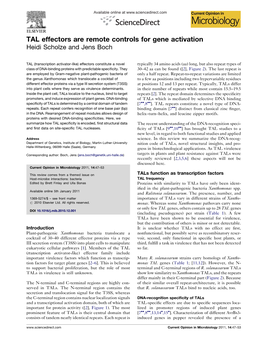 TAL Effectors Are Remote Controls for Gene Activation Heidi Scholze and Jens Boch