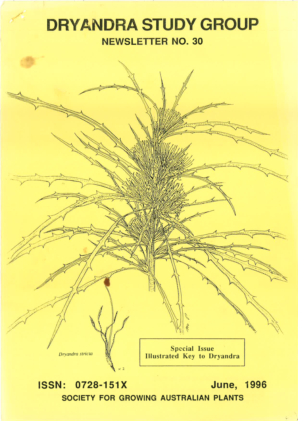 Spccial Issue Illustrated Key to Dryandra