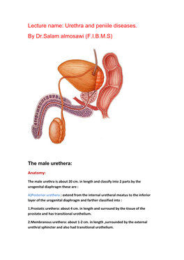 Lecture Name: Urethra and Peniile Diseases. by Dr.Salam Almosawi (F.I.B.M.S)