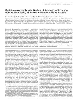 Identification of the Anterior Nucleus of the Ansa Lenticularis in Birds As