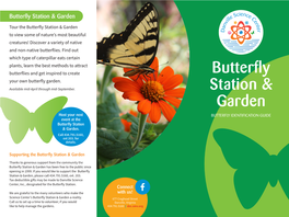 Butterfly Station & Garden