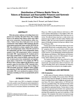 Distribution of Tobacco Rattle Virus in Tubers of Resistant and Susceptible