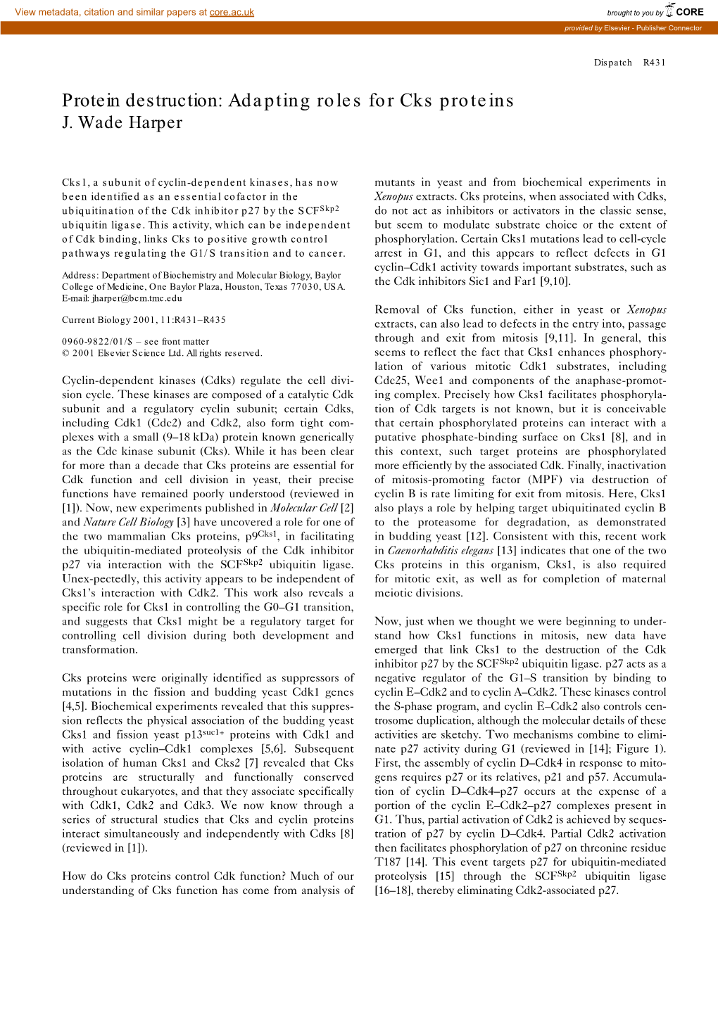 Protein Destruction: Adapting Roles for Cks Proteins J