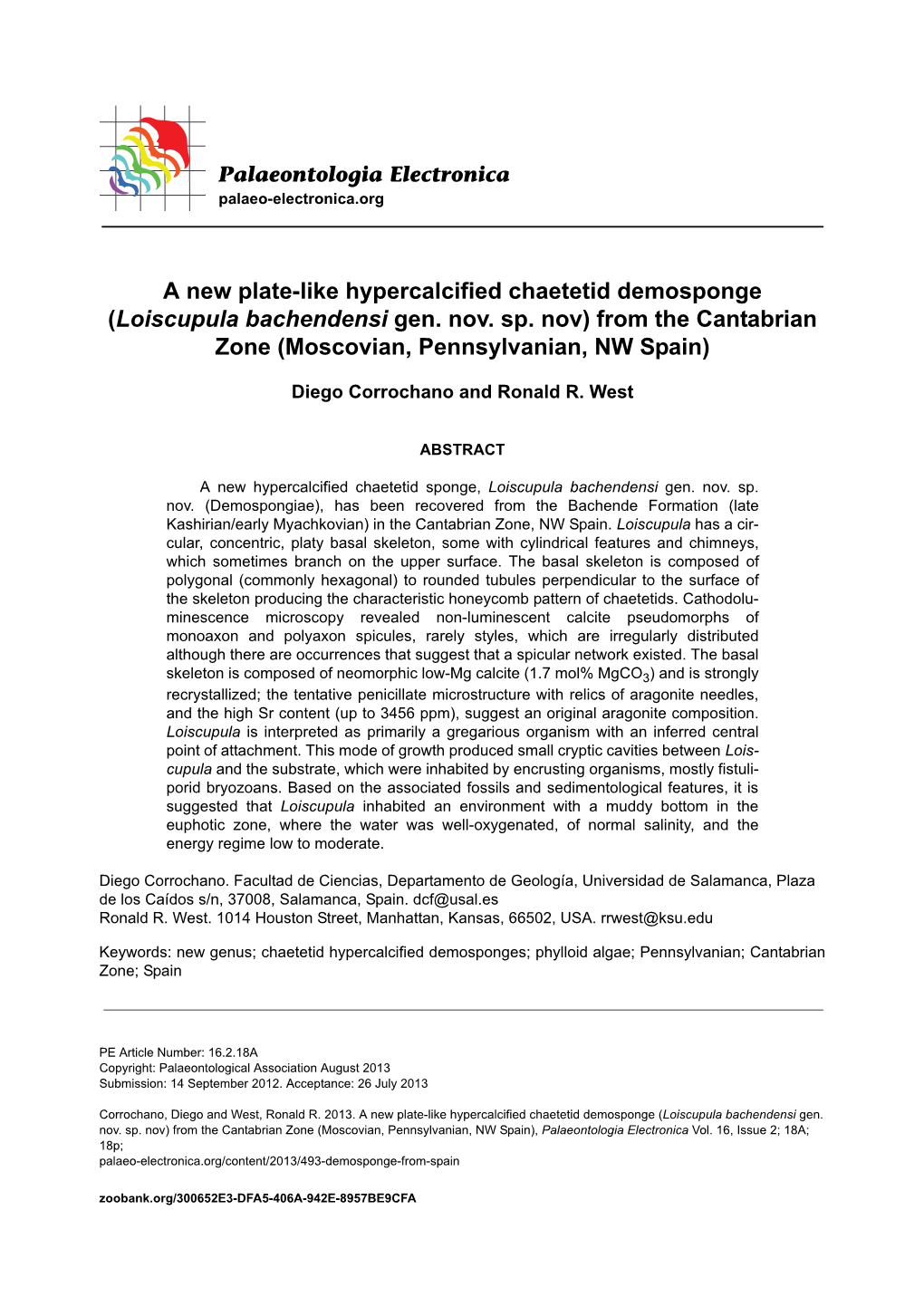 A New Plate-Like Hypercalcified Chaetetid Demosponge (Loiscupula Bachendensi Gen