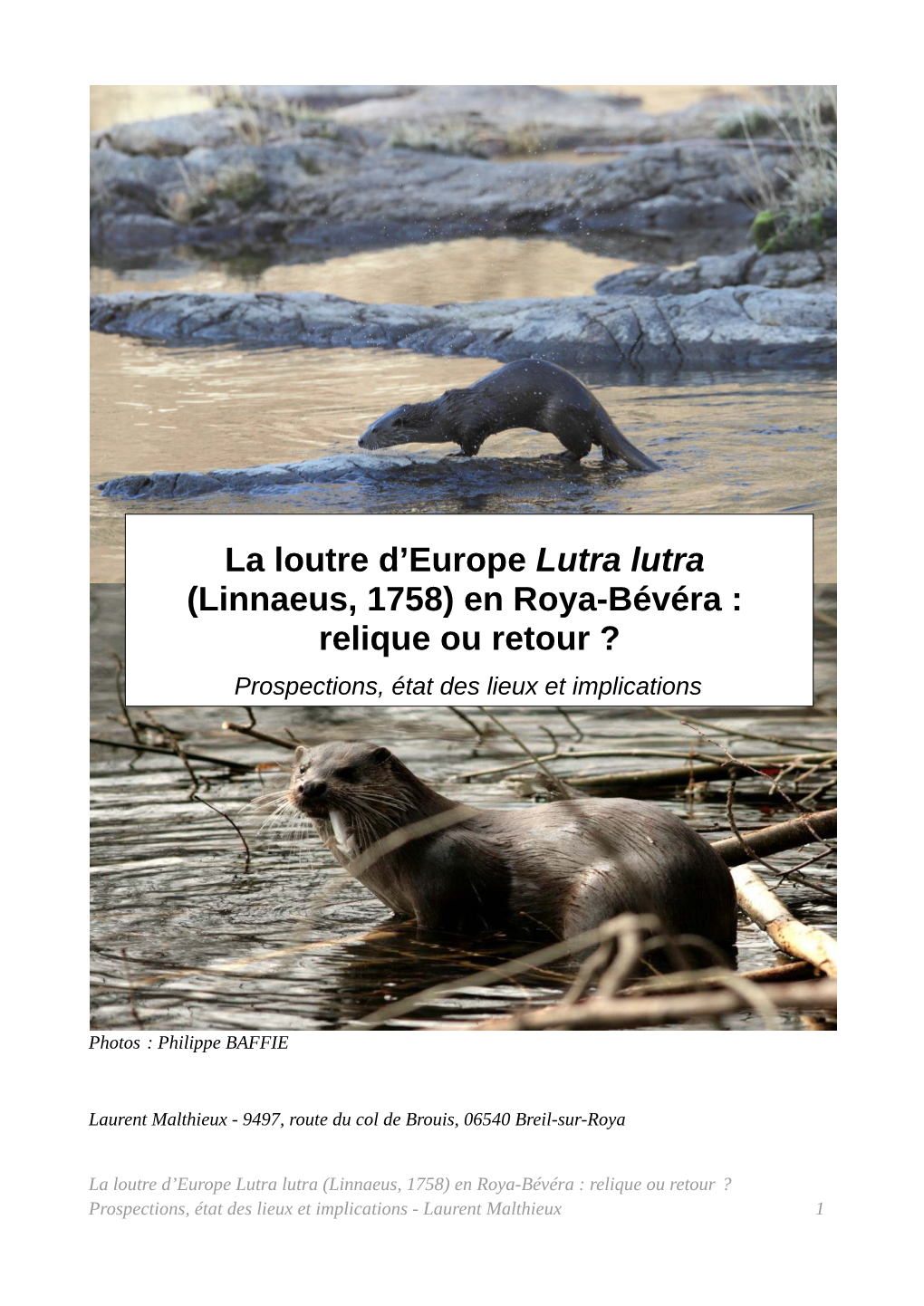 La Loutre D'europe Lutra Lutra (Linnaeus, 1758) En Roya-Bévéra : Relique Ou Retour ?