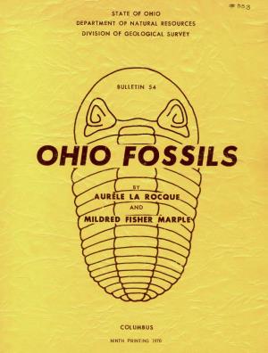 Ohio Fossils