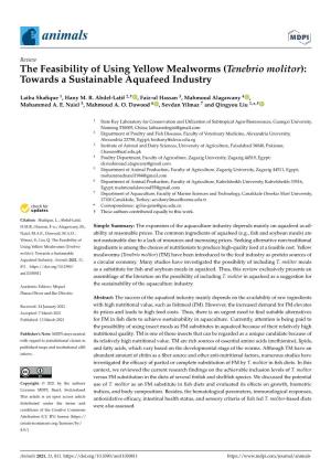 The Feasibility of Using Yellow Mealworms (Tenebrio Molitor): Towards a Sustainable Aquafeed Industry