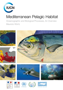 Mediterranean Pelagic Habitat Oceanographic and Biological Processes, an Overview Maurizio Würtz