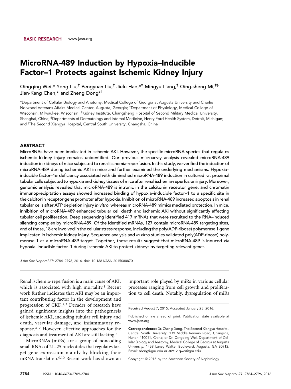 Microrna-489 Induction by Hypoxia–Inducible Factor–1 Protects Against Ischemic Kidney Injury