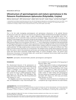 Ultrastructure of Spermatogenesis and Mature Spermatozoa in The