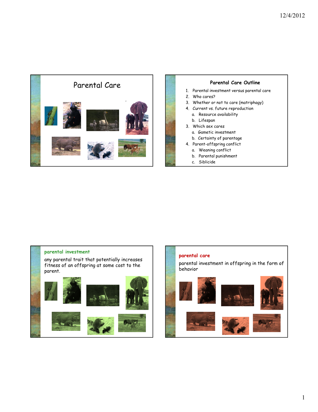 Parental Care Parental Care Outline 1