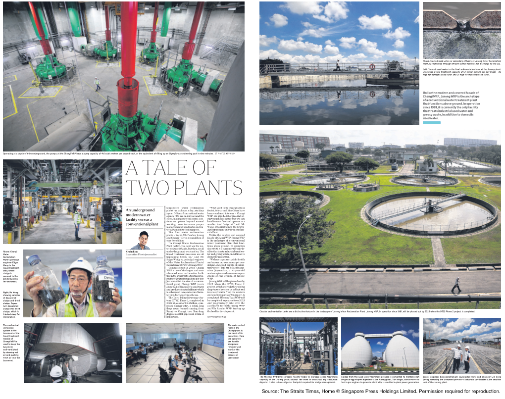 NEWS a Tale of Two Plants 23 MAR 2020