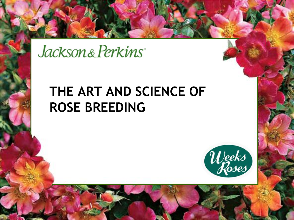 THE ART and SCIENCE of ROSE BREEDING Agenda