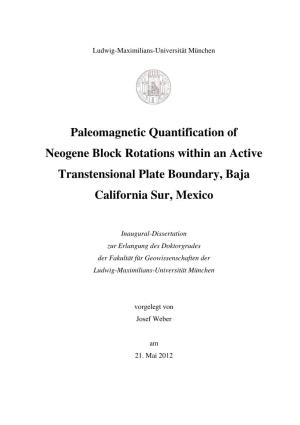 Paleomagnetic Quantification of Neogene Block Rotations Within an Active Transtensional Plate Boundary, Baja California Sur, Mexico