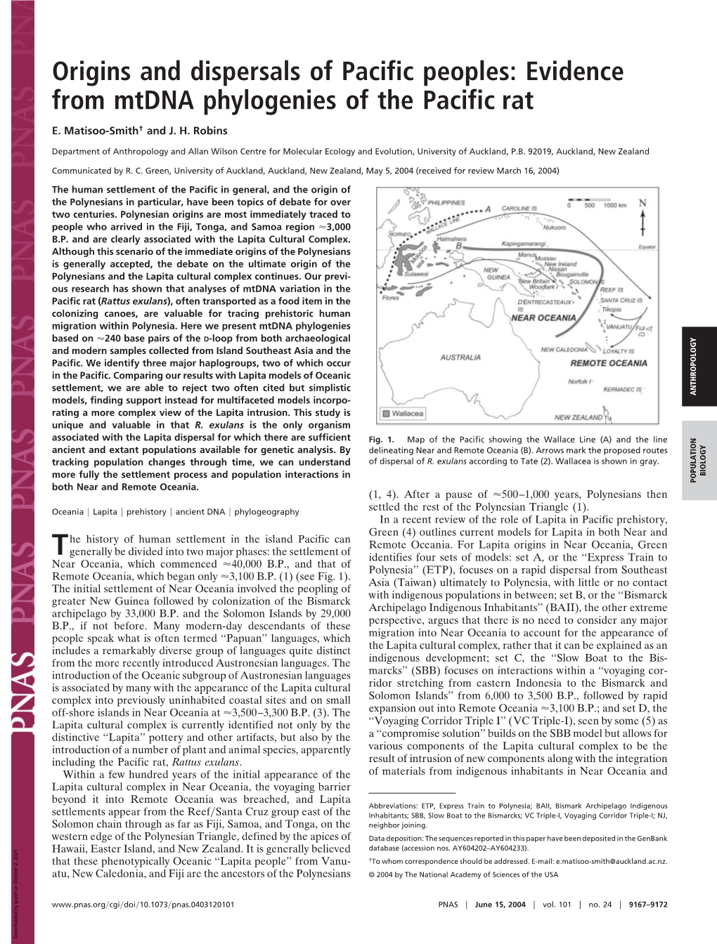 Evidence from Mtdna Phylogenies of the Pacific Rat