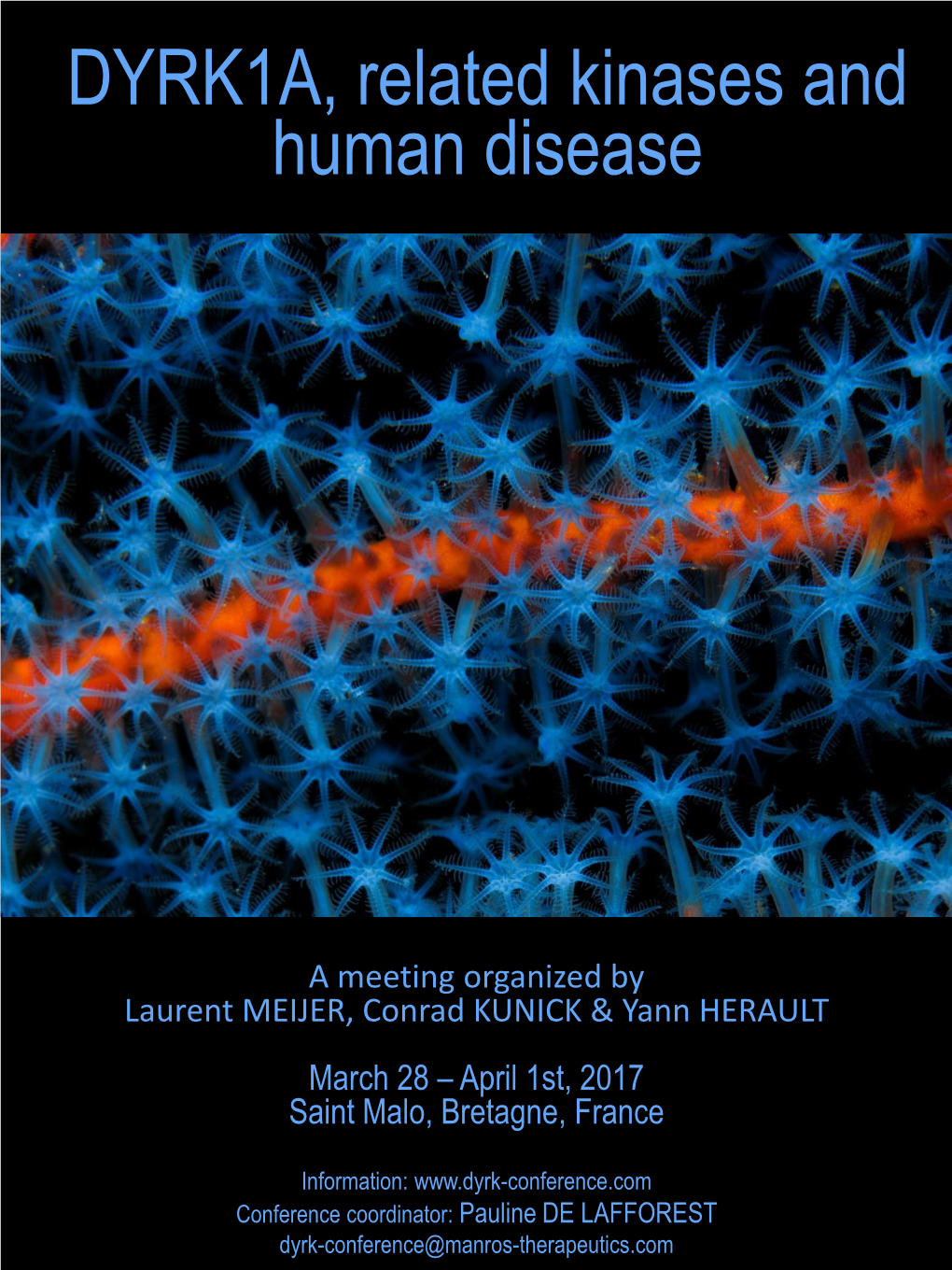 DYRK1A, Related Kinases and Human Disease