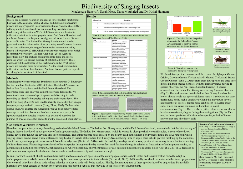 Biodiversity of Singing Insects Mackenzie Bancroft, Sarah Metz, Dana Moukaled and Dr