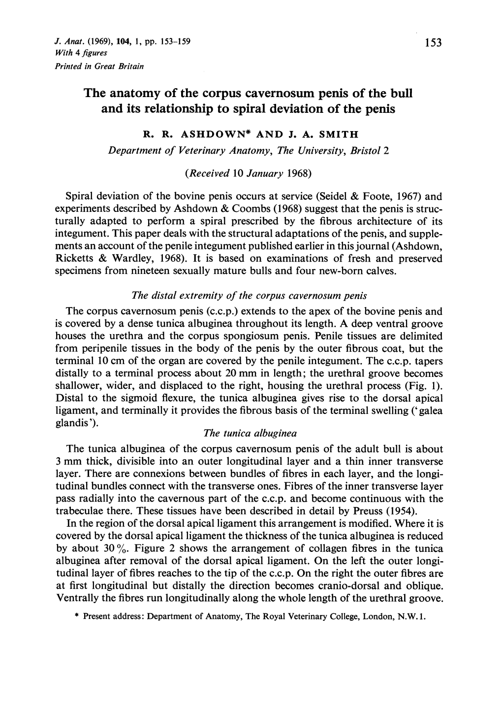 The Anatomy of the Corpus Cavernosum Penis of the Bull and Its Relationship to Spiral Deviation of the Penis