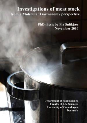 Investigations of Meat Stock from a Molecular Gastronomy Perspective