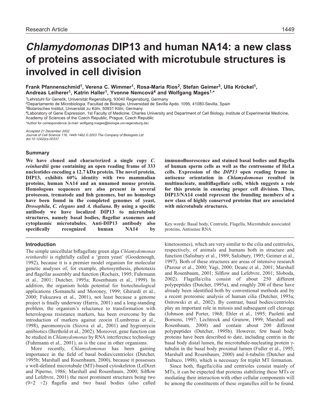 Chlamydomonas DIP13 and Human NA14: a New Class of Proteins Associated with Microtubule Structures Is Involved in Cell Division