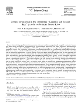 Genetic Structuring in the Threatened ‘‘Lagartijo Del Bosque Seco” (Anolis Cooki) from Puerto Rico