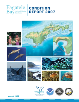 Condition Report 2007