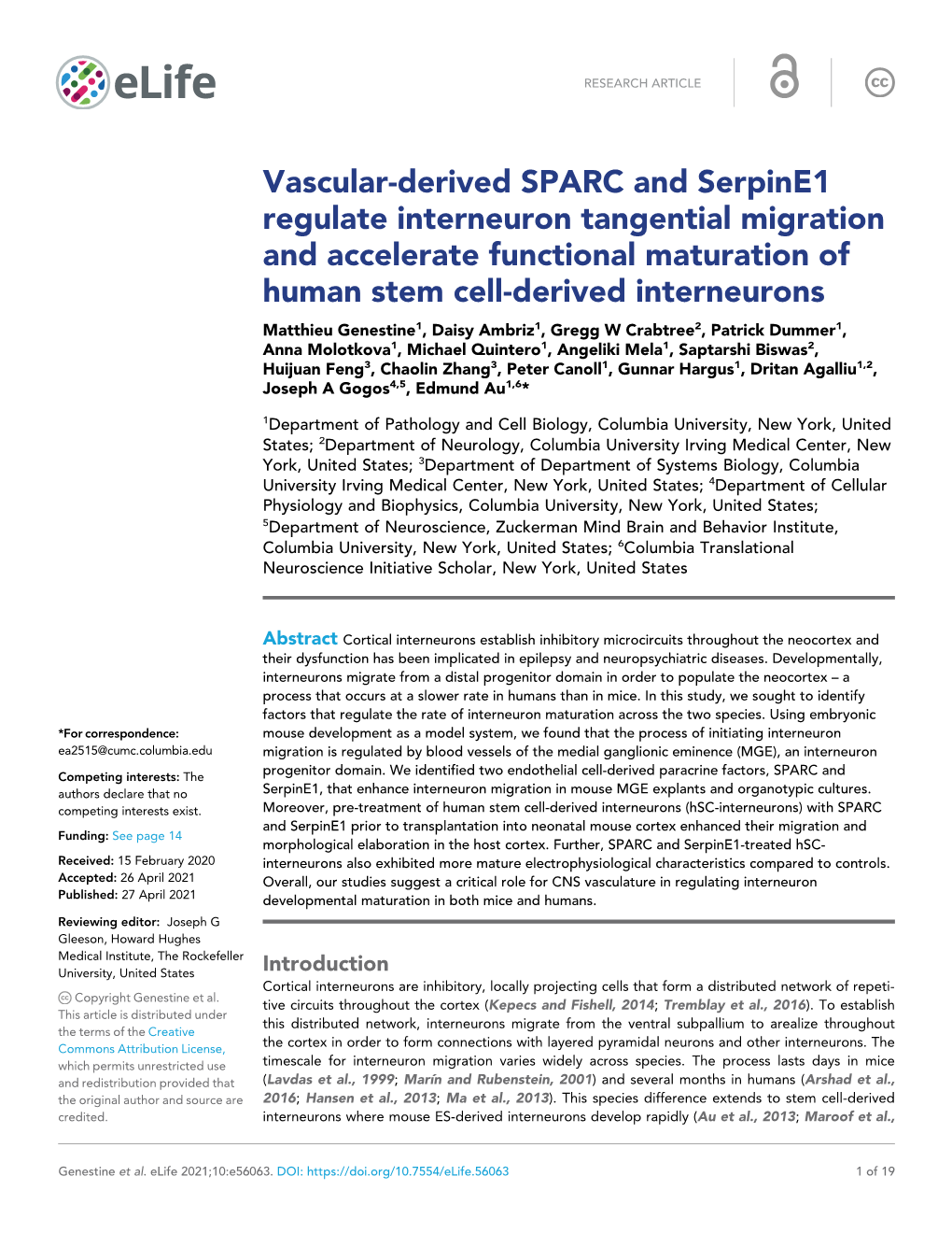 Vascular-Derived SPARC and Serpine1 Regulate Interneuron