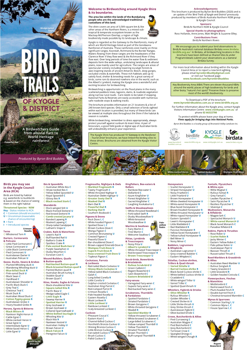A Birdwatchers Guide from Alluvial Flats to World Heritage Rainforest