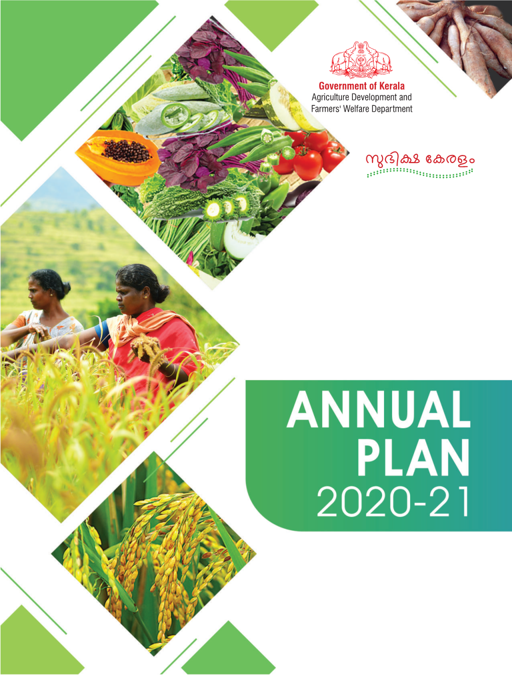 ANNUAL PLAN 2020-21 1 Adopted
