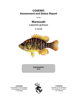 Warmouth, Lepomis Gulosus in Canada, Prepared Under Contract with Environment Canada