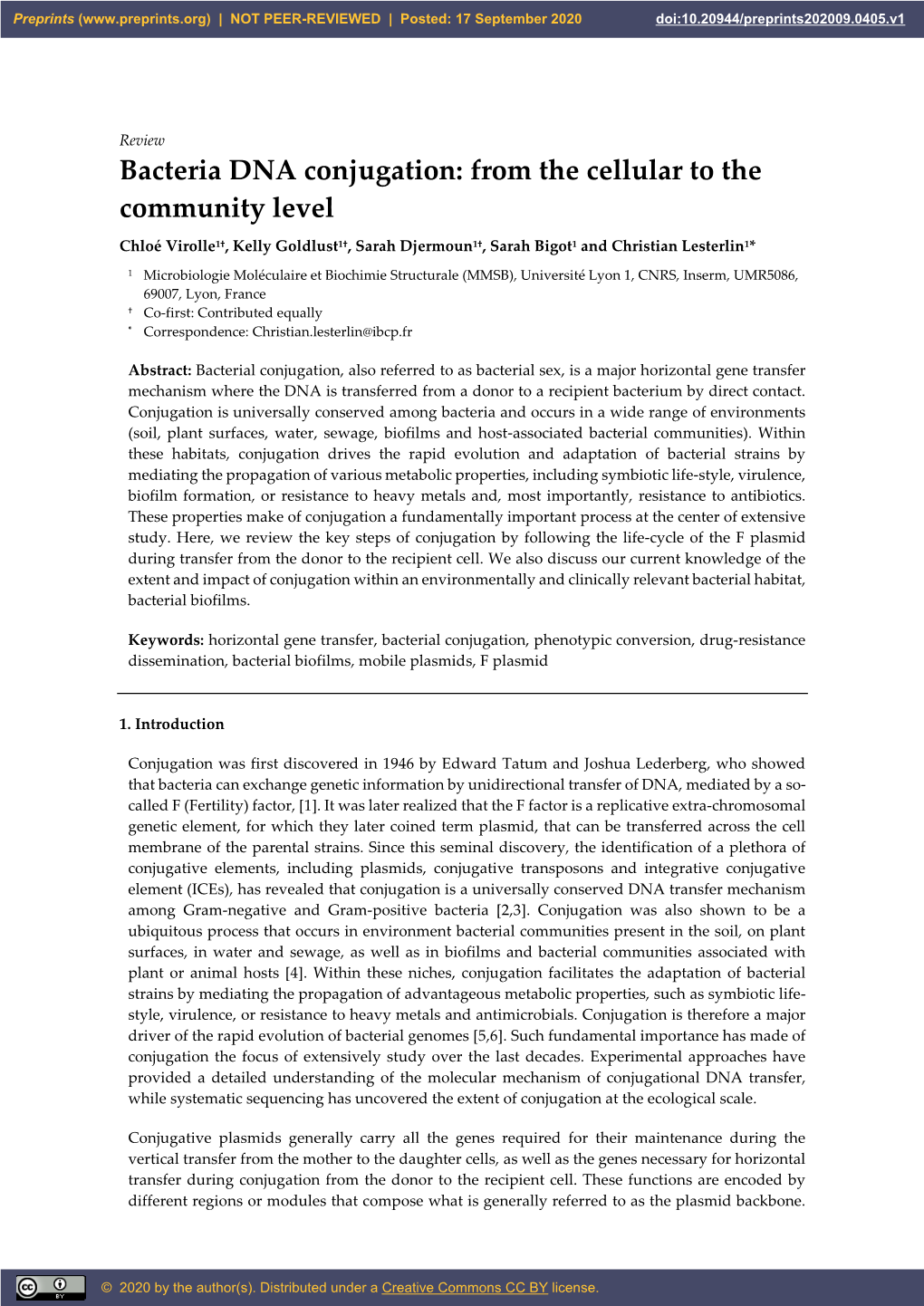 Bacteria DNA Conjugation: from the Cellular to the Community Level