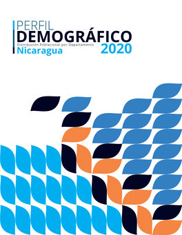 Perfil Demográfico 2020