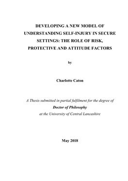 Developing a New Model of Understanding Self-Injury in Secure Settings: the Role of Risk, Protective and Attitude Factors