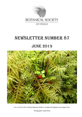 Newsletter Number 87 June 2019