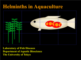 Helminths in Aquaculture