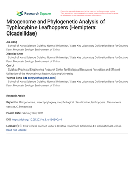Mitogenome and Phylogenetic Analysis of Typhlocybine Leafhoppers (Hemiptera: Cicadellidae)