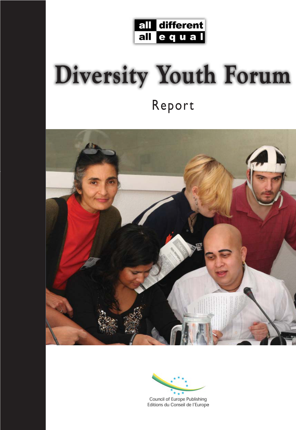 Diversity Youth Forum Report P DIVERSITY YOUTH FORUM