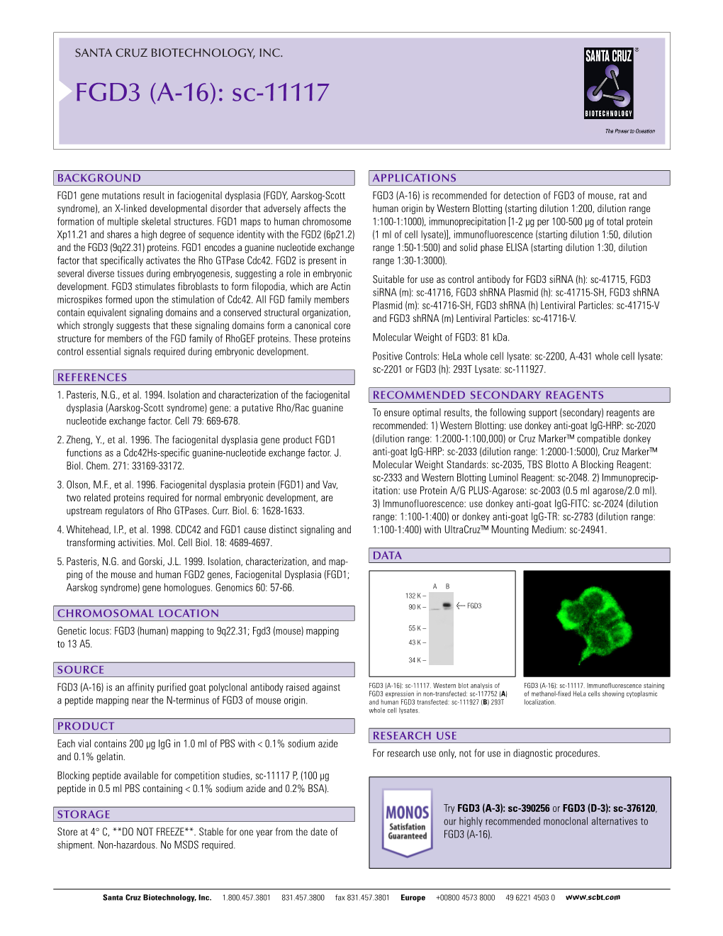 Datasheet Blank Template