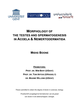 Morphology of the Testes and Spermatogenesis in Aacoela && Nnemertodermatida