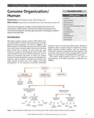 Genome Organization/ Human