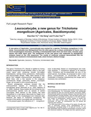 Leucocalocybe, a New Genus for Tricholoma Mongolicum (Agaricales, Basidiomycota)