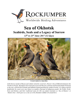 Sea of Okhotsk Seabirds, Seals and a Legacy of Sorrow