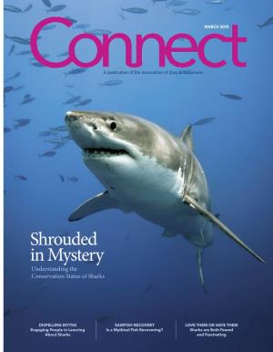 Shrouded in Mystery Understanding the Conservation Status of Sharks