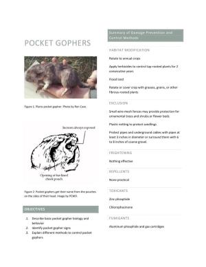 Pocket Gophers Habitat Modification