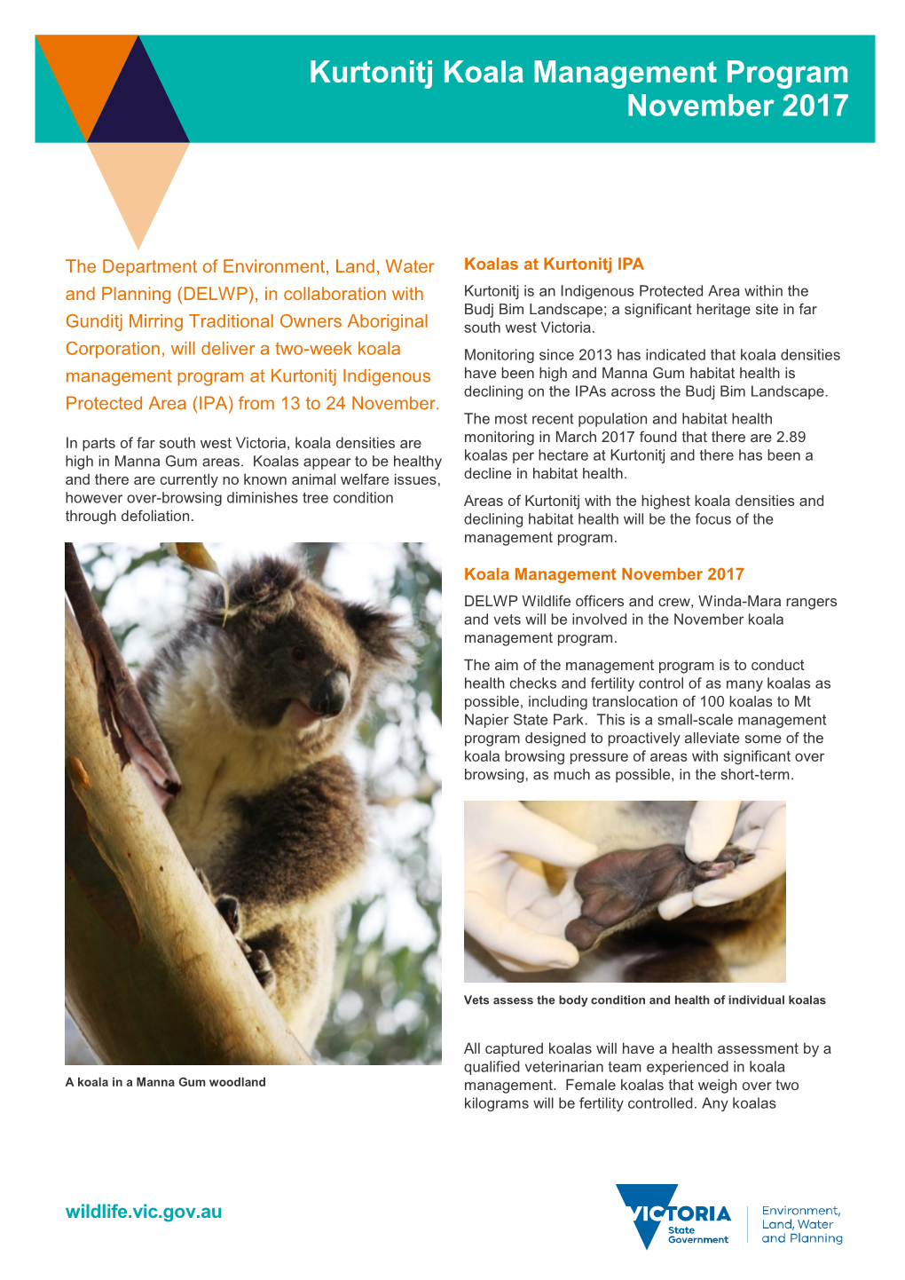 Kurtonitj Koala Management Program November 2017