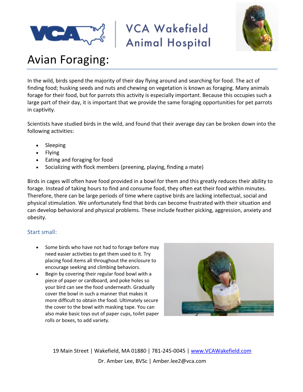 Avian Foraging