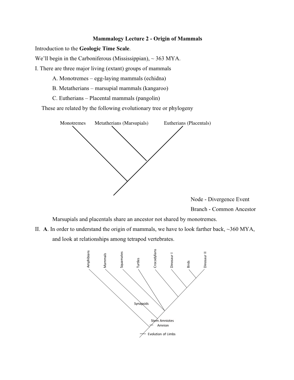 Mammalogy Lecture 2 - Origin of Mammals Introduction to the Geologic Time Scale